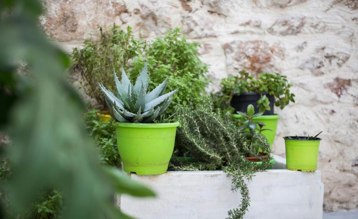 A Litte Taste Of Home Guest House Αθήνα Εξωτερικό φωτογραφία